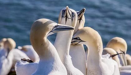 肇东伴游,定制QQ:3494206190微信:act1322